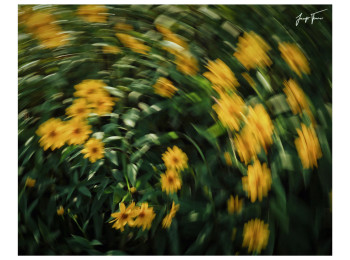 Impressioni di Settembre (Vol. 2)