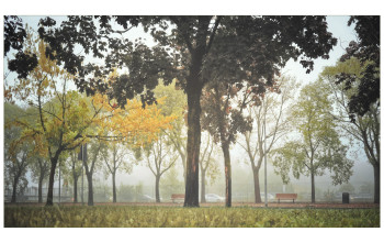 La prima nebbia d'autunno