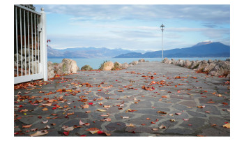 The Season of Silence (Vol. 3)