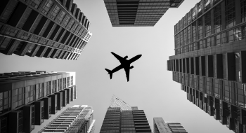 The Flight